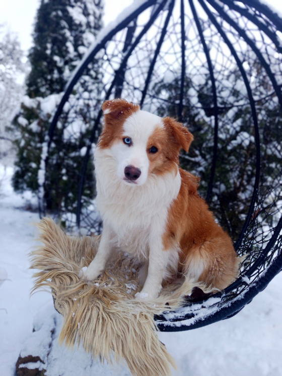 Milagro Que Wait for the Sunrise