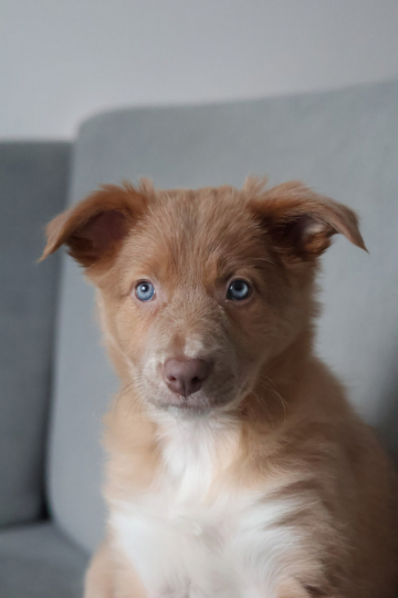 You Were Born To Fight For Dreams From Flying Colors Borders