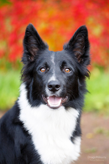 Art Of Being For You