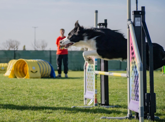 Thor Eivor Bonnie Scotland