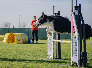 Thor Eivor Bonnie Scotland