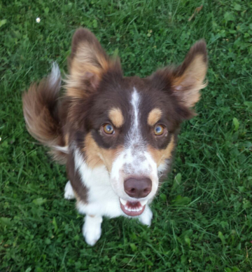 Sookie Von Waltenweiler