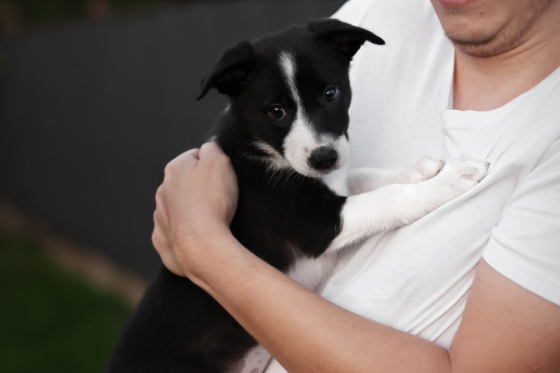 Amiga Akori No Time to Wait