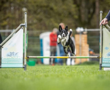 I Love Pola It's my Dreamland