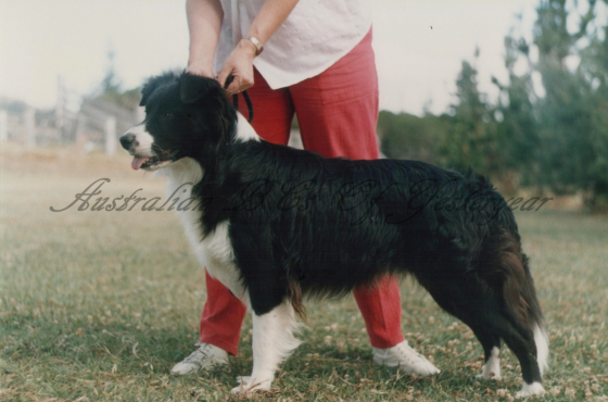 Rosebrook Mostly Mindi