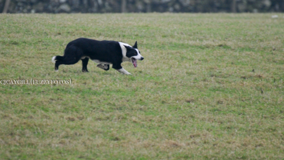 Burndale Drift