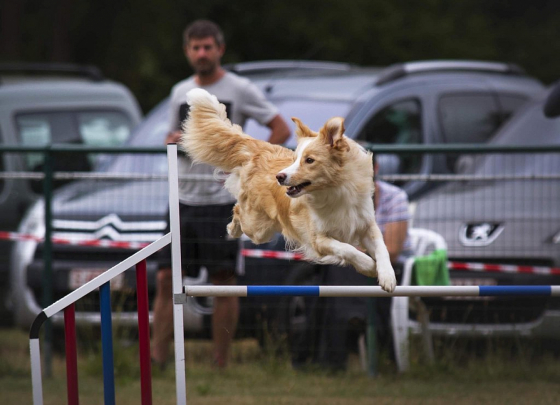 Nice Of You To Come Bye Red Ruby