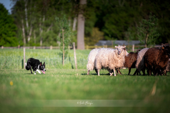 Luna Tale Waste no Time Gem