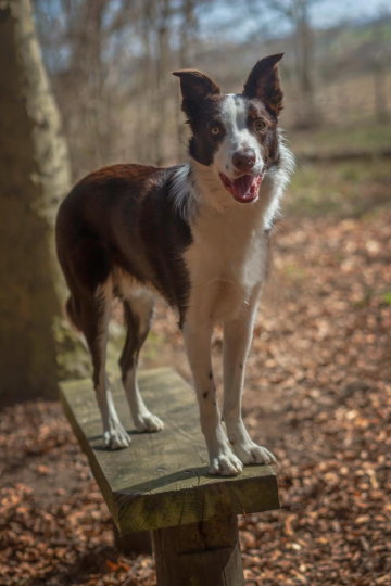 Darleyfalls Untold Story