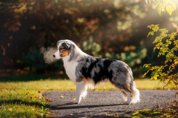 Seventy Seven Enjoy the Game