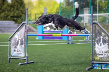 Never Never Land B'Sid