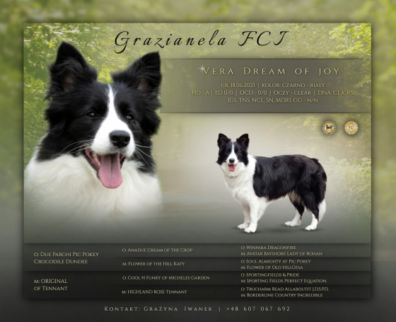 Vera Dream of Joy