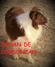 Johan de Cordoncan