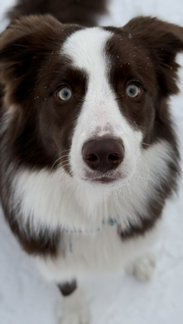 Ray Born in the Heart of Spring