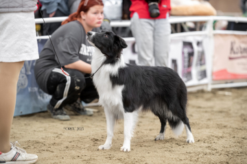 Vkhagar iz Strany Kutha