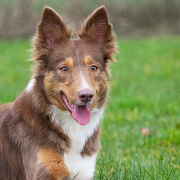 Nice Of You To Come Bye Girl On Fire