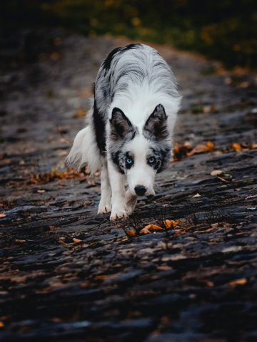 Future Is Already Here