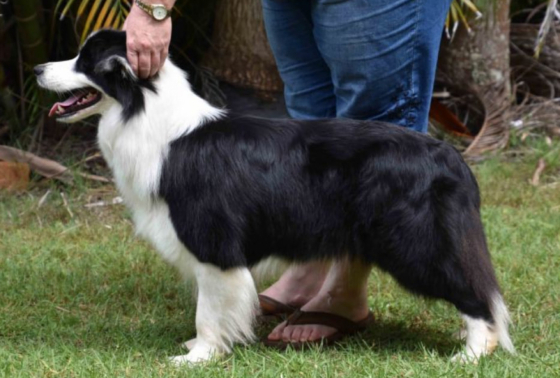 Nakiva Denali Dreams