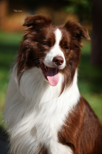 Ice Guard Kay Canneco