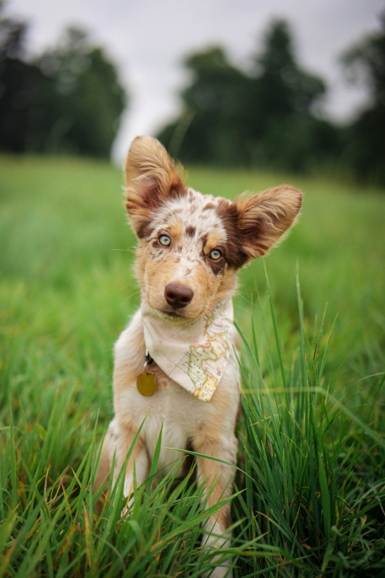 Nocturne Flame Made My Day