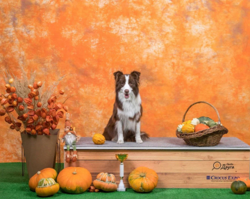 Be Happy Don't Worry