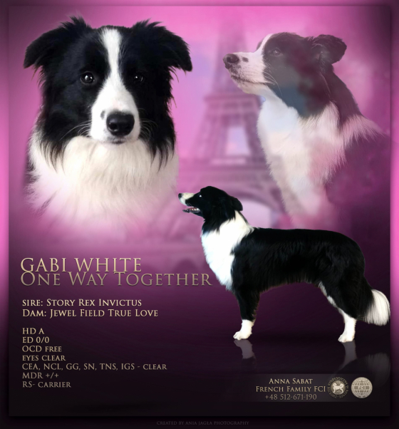 Gabi White One Way Together