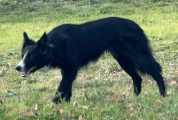 John Constantine Dei Matiblu