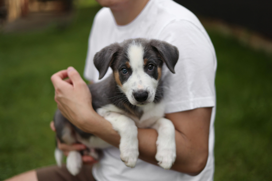 Arctic Flame No Time to Wait