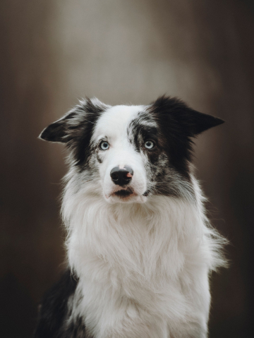 Blue Heritage Of Beauty