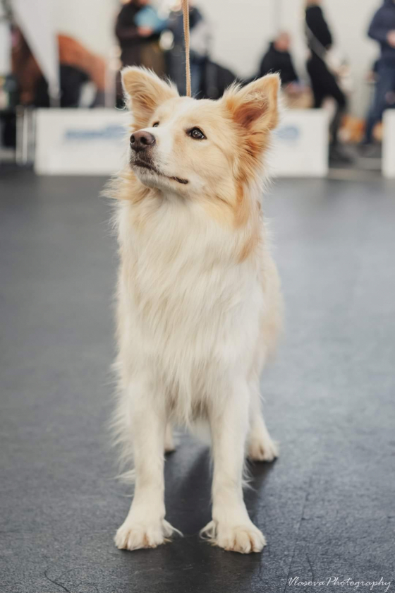 Alsa z Rosinkowy Zagrody