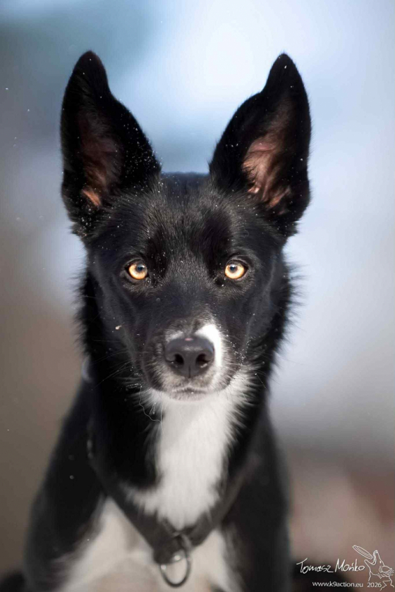 Bring Me to Life Sounds Great