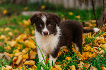 Samyi Kosmicheskiy Mars