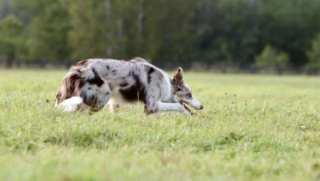 Bearing The Light Of The Lost Soul
