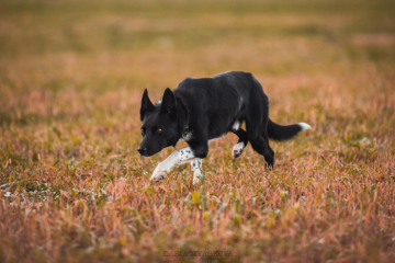A Black Universe of the Maze Runner