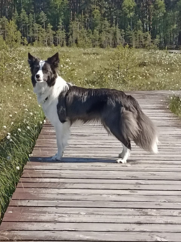 Jack Mix Patricia Radori