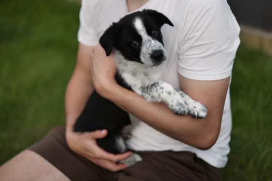 Almighty Ace No Time to Wait