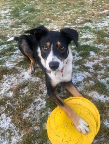 Neska Z Hrubej Siklawy