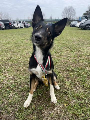 Saint Mary Pick Your Poison