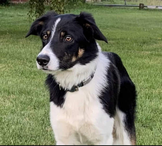 Poughkeepsie Felicitas