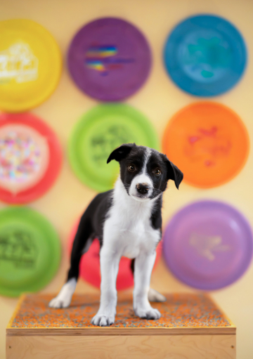 You Are The Guardian Of The Night Watch Ever Ready To Spark My Mind