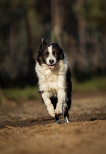 Kesera Only You Forever