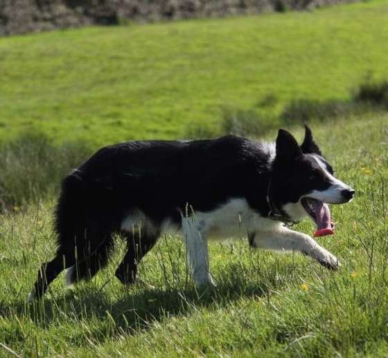 Borders at Work Cooper