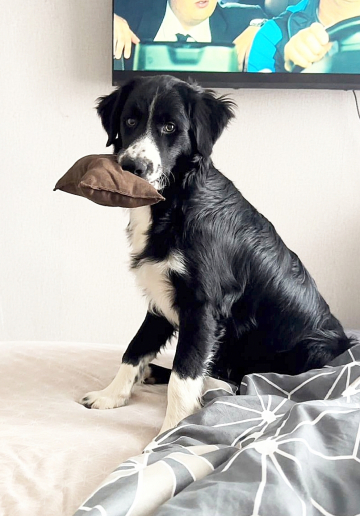 Philosopher Wise Thinker