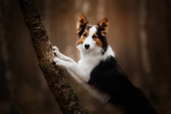 Storm Inside Me The Thrill of The Rush