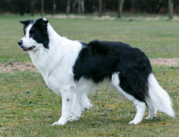 Dumf And Galwy Graffiti