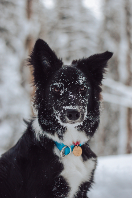 Demon In Black Style