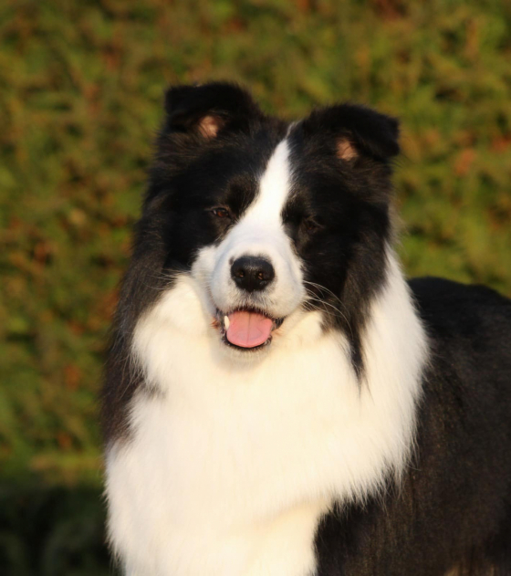 Glenloy Long Way To Maghera