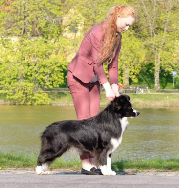 Mikami Black Smoke Rising