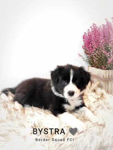 Bystra Border Squad