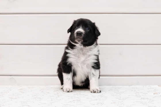 Power of the Pacific Ocean